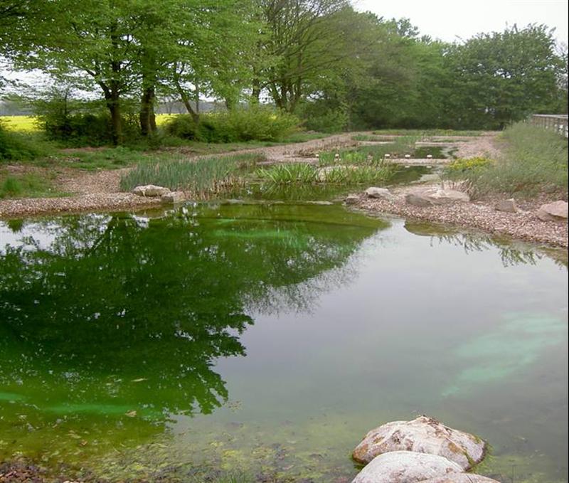 Quelle: freibad-rodewald.de