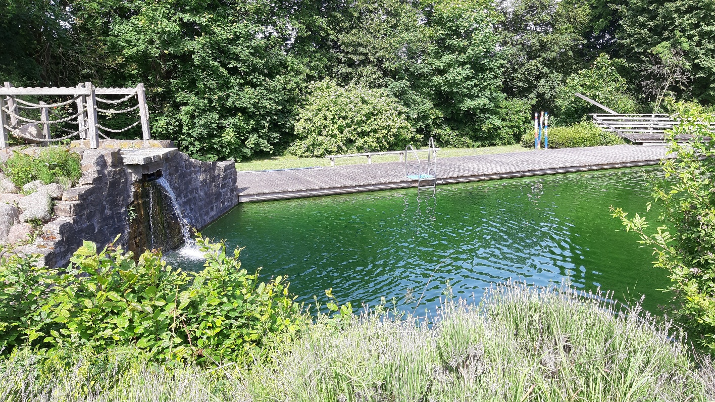 Förderverein Freibad Rodewald e.V.